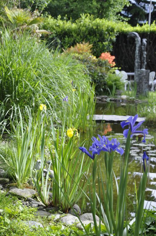 Villa Del Gusto Μπελλιντσόνα Εξωτερικό φωτογραφία